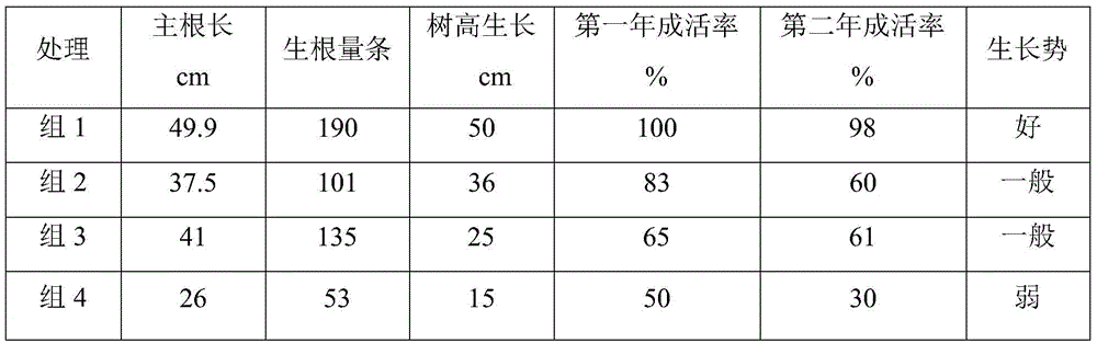 Nutrient fluid and method for enhancing Michelia longifolia transplant survival percent