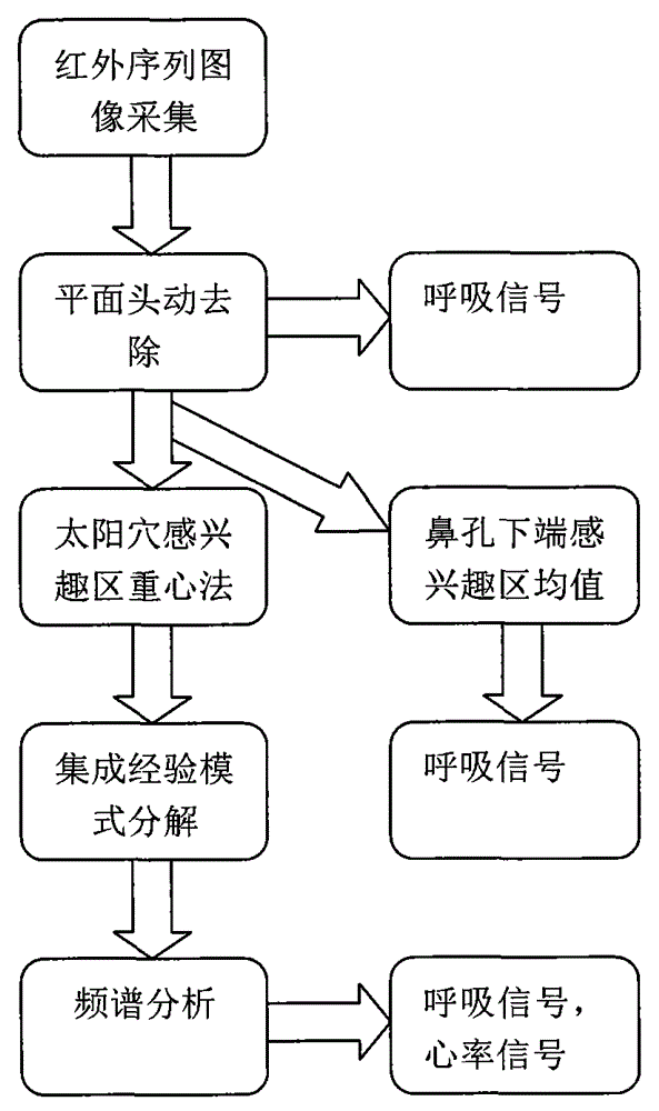 Non-contact human respiration and heart beat signal detection method based on infrared sequence image