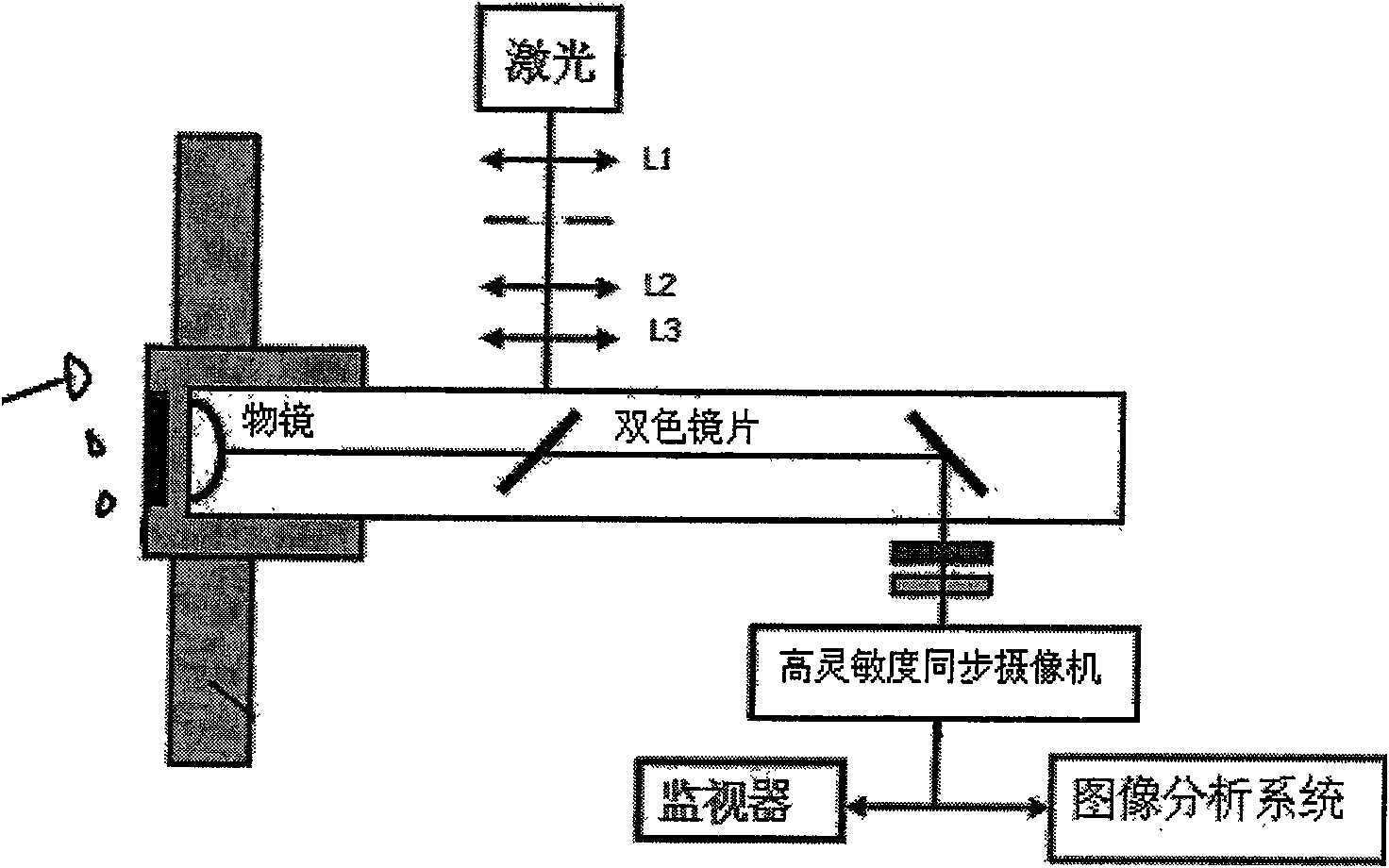 On-line cell micro observation instrument for biochemical reactor