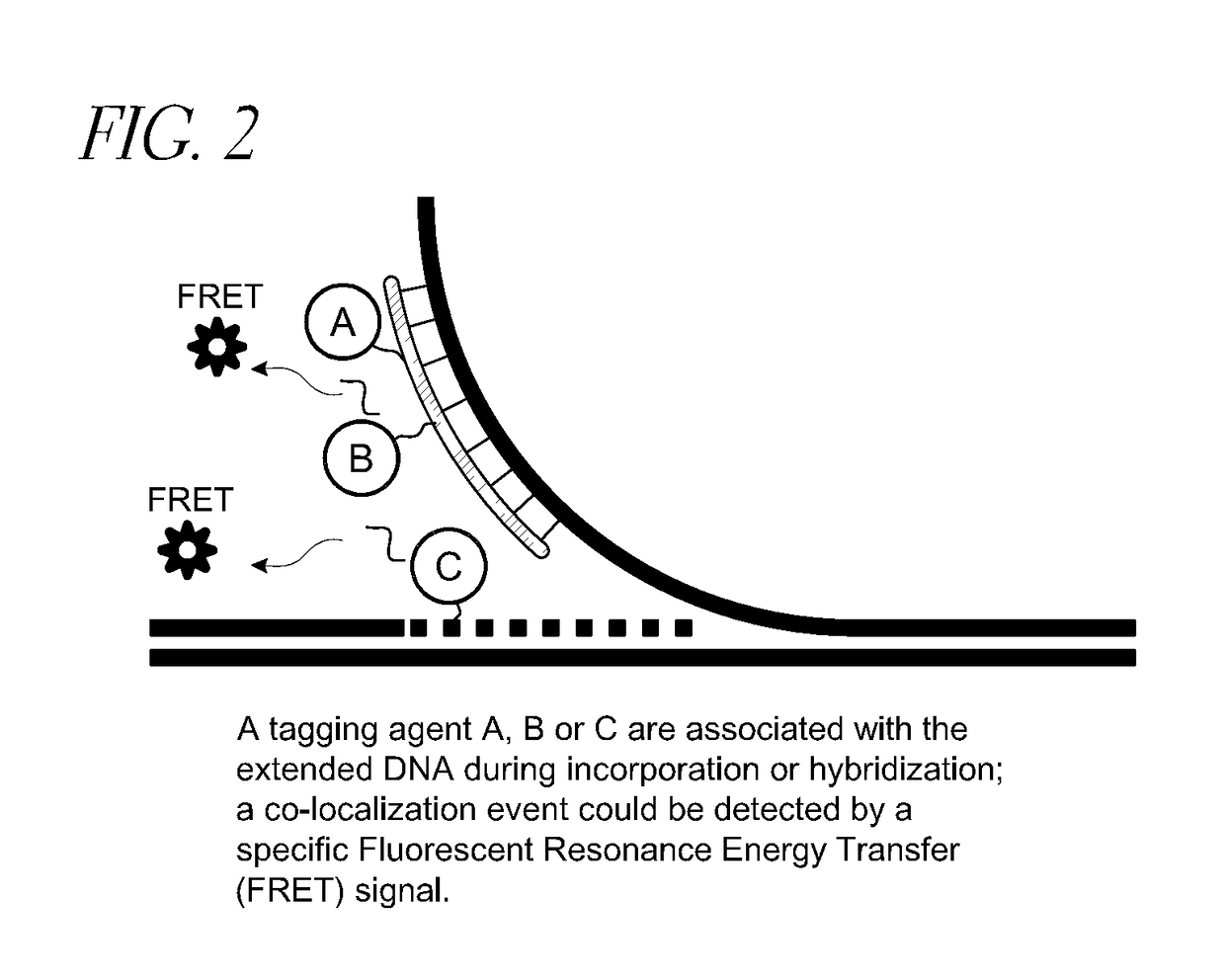 Methods and devices for single-molecule whole genome analysis