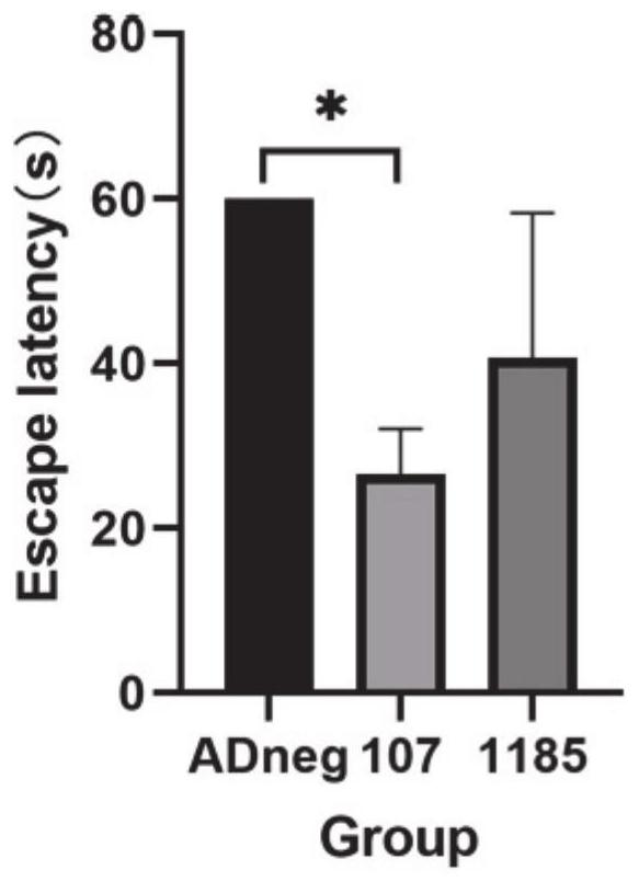 Application of miRNA in preparation of medicine for treating AD, medicine composition and application of medicine composition