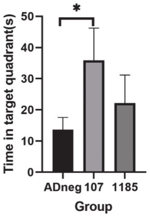 Application of miRNA in preparation of medicine for treating AD, medicine composition and application of medicine composition