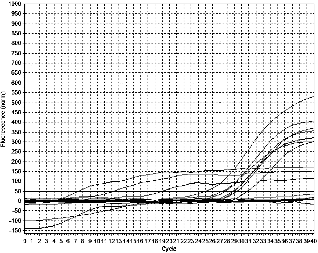 Bacillus cereus detection method and kit