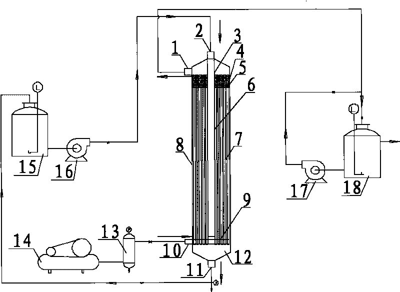 External pressure-type hollow fiber membrane module with antipollution structure and cleaning system