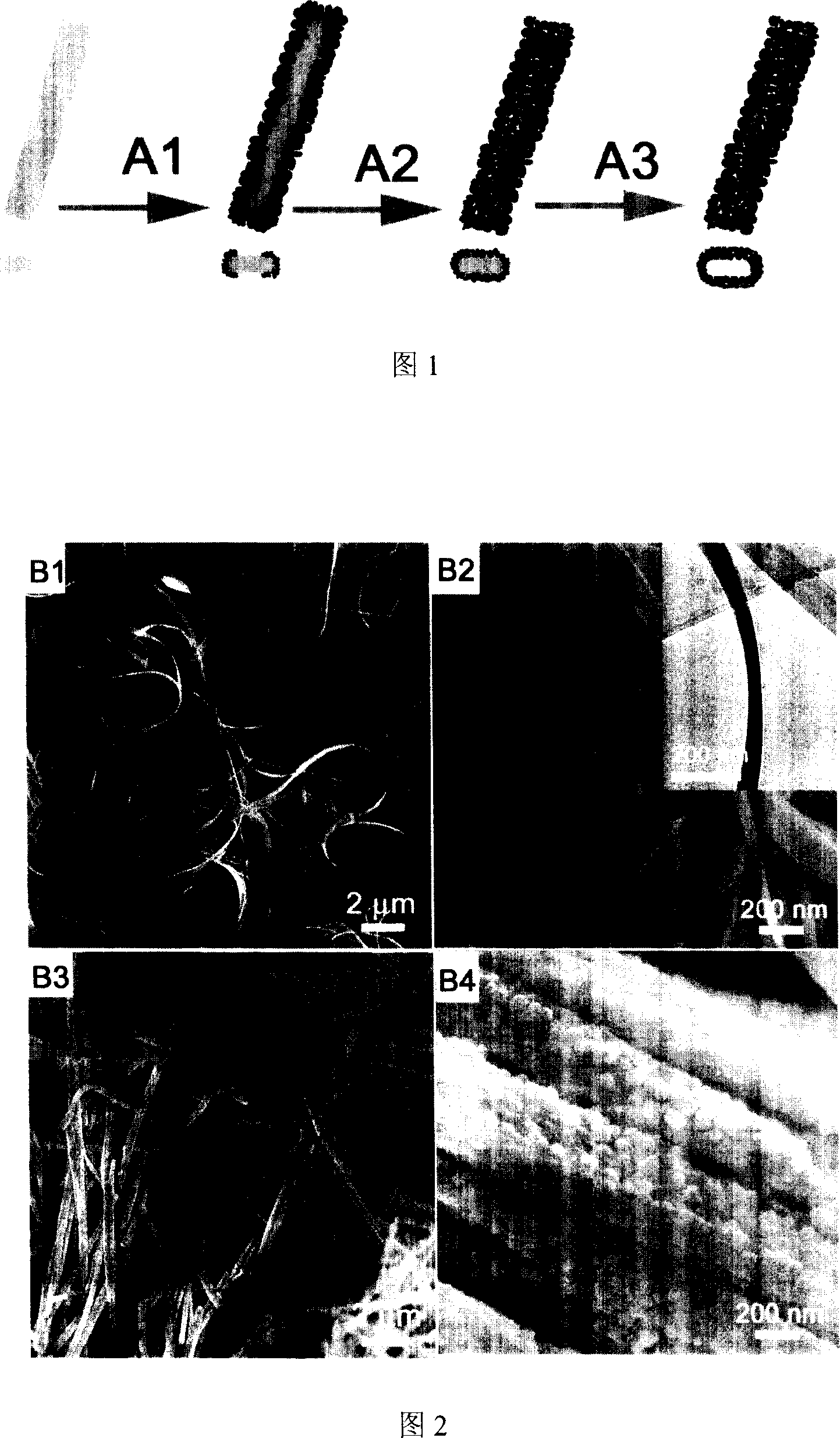 Method for preparing unidimensional TiO2 hollow structured photocatalyst using vanadium oxide nanobelt as template