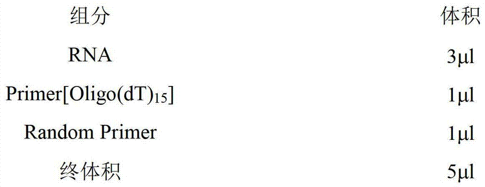 Antibody gene for resisting pyrethriods pesticide scFv (Single Chain Fragment Variable) and application of antibody gene