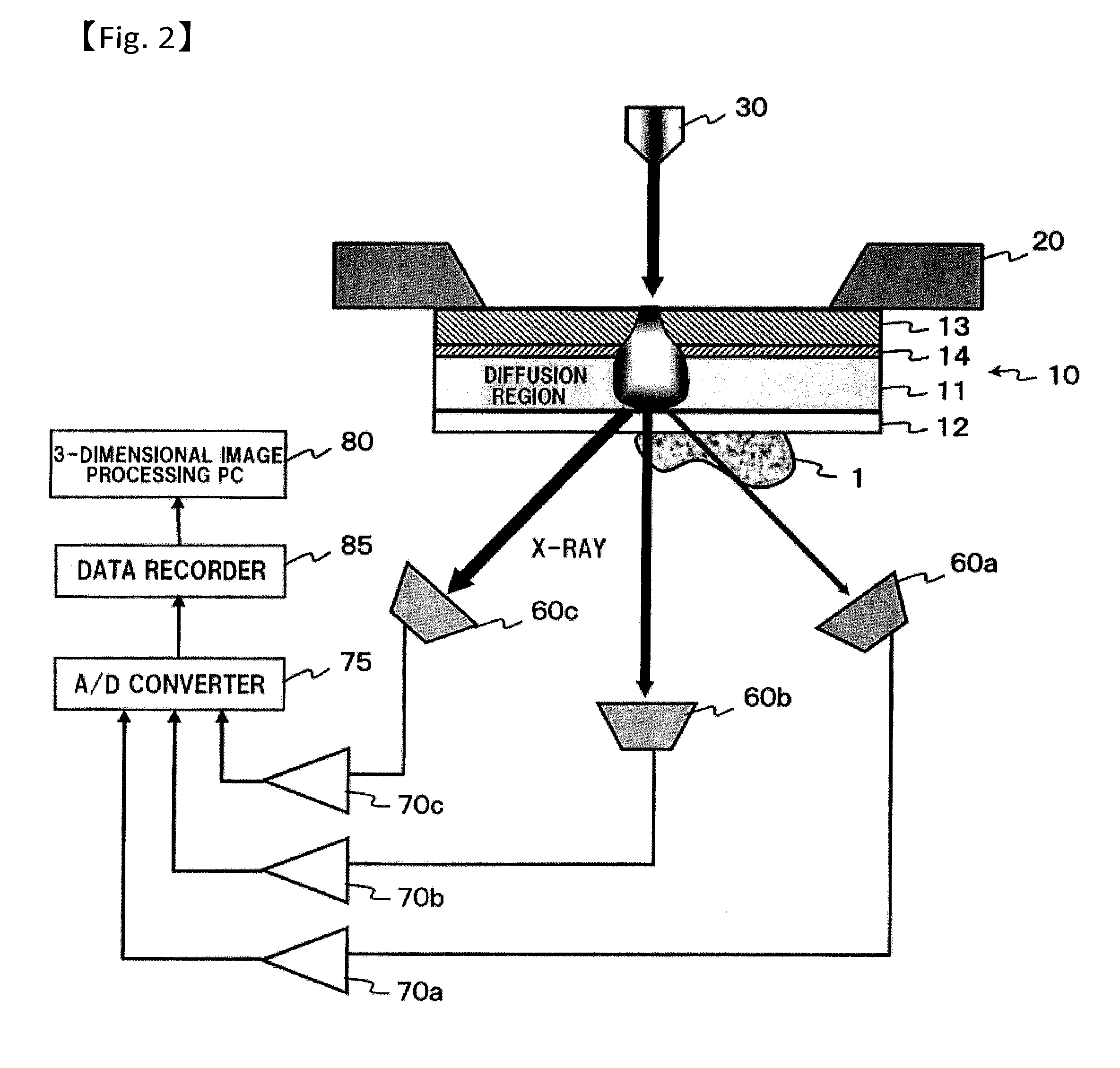 Specimen supporting member for x-ray microscope image observation, specimen containing cell for x-ray microscope image observation, and x-ray microscope