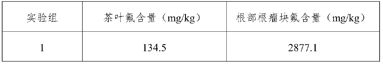 A planting method for reducing the fluorine content of tea leaves