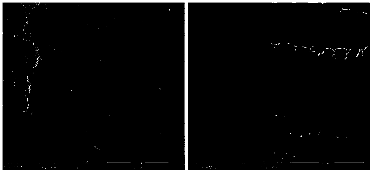 Low-temperature embedding aluminizing agent and powder embedding aluminizing method