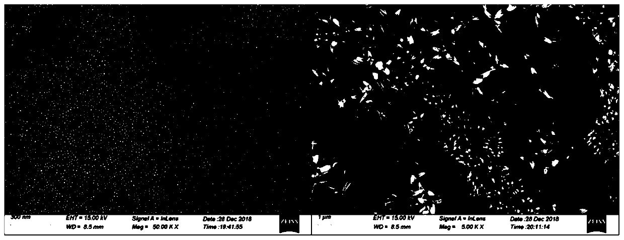 Preparation method and application of molecularly imprinted photo-electrochemical sensor based on N,S-CDs/CuPc composite material