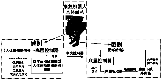 Active stroke lower limb rehabilitation robot control method based on healthy side and affected side coupling