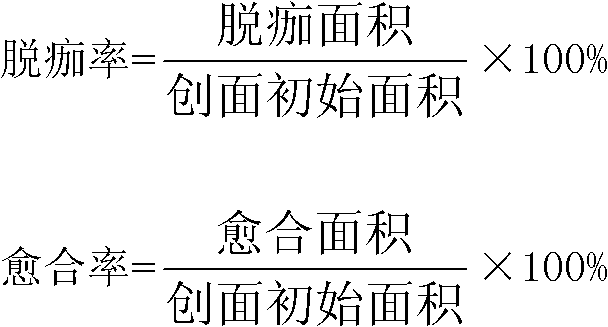 Maniod eibish, corktree bark and rhubarb Sanhuang oil for treating scald and preparation method thereof