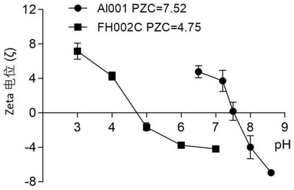 Adjuvant containing risedronate zinc aluminum and application thereof