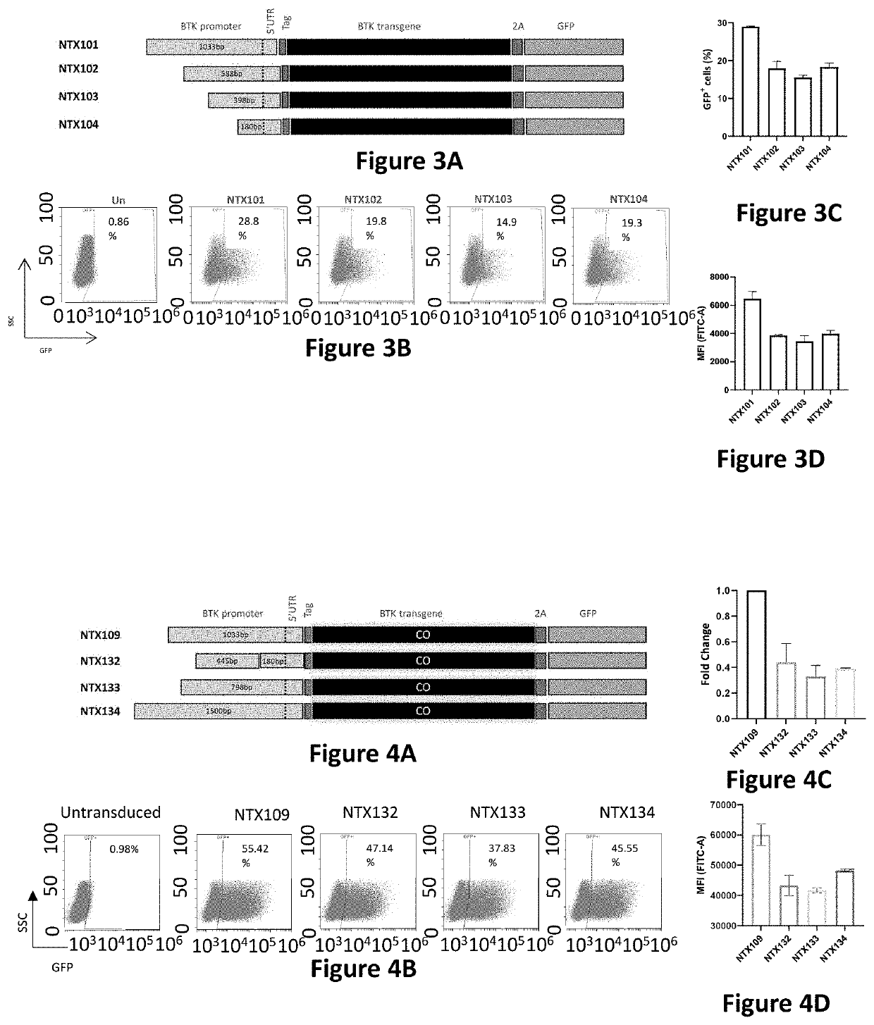 Lentiviral vectors for therapeutic expression of btk in haematopoietic cells