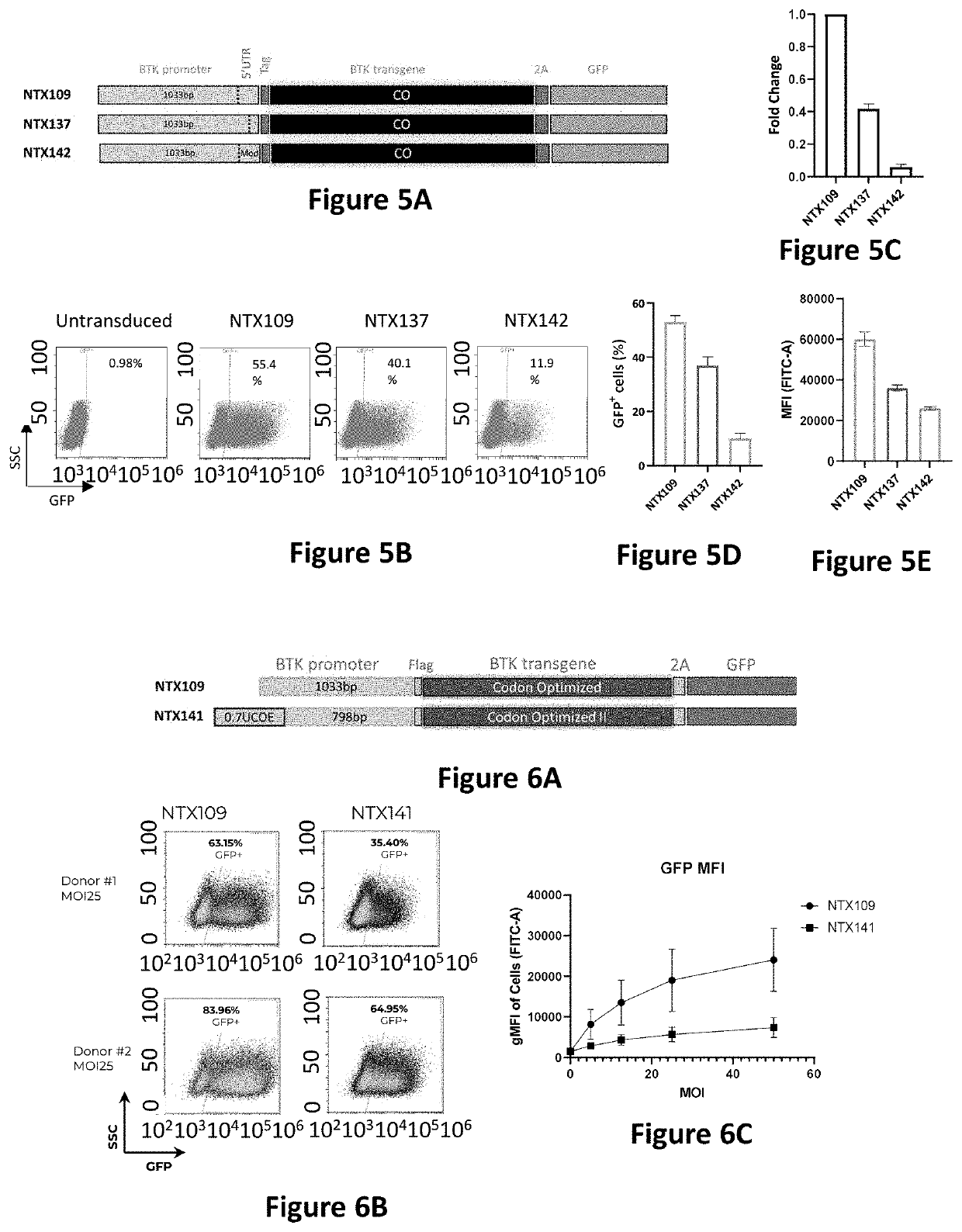 Lentiviral vectors for therapeutic expression of btk in haematopoietic cells