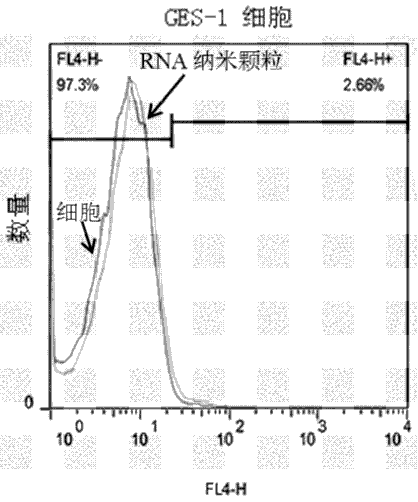 RNA nanoparticles and their application in the prevention and treatment of gastric cancer