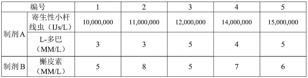 Nematode preparation for preventing and controlling flower slugs as well as preparation method and application of nematode preparation