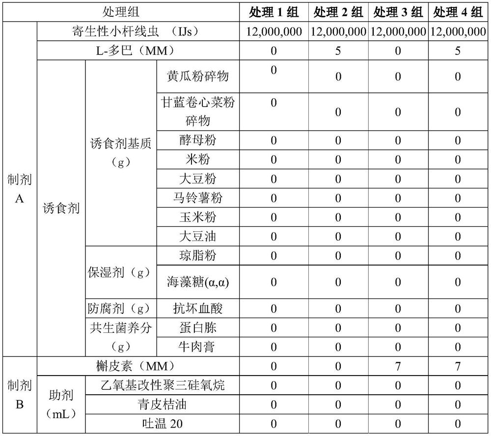 Nematode preparation for preventing and controlling flower slugs as well as preparation method and application of nematode preparation