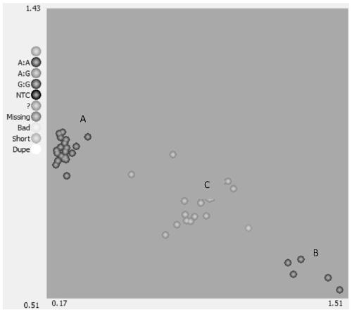 Molecular marker linked with pepper fruit cuticle deficiency genes and application thereof