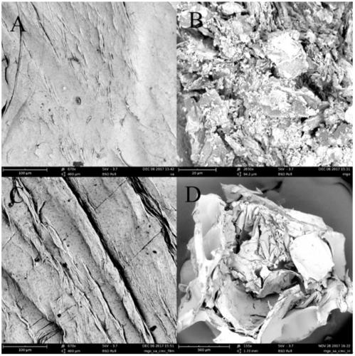 Magnetic graphene oxide/sodium alginate/sodium carboxymethyl cellulose composite material and preparation method thereof