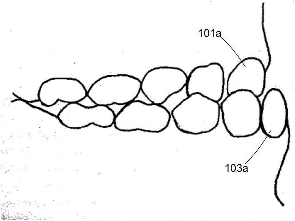 Shell-shaped dental instrument for correcting occlusal interference