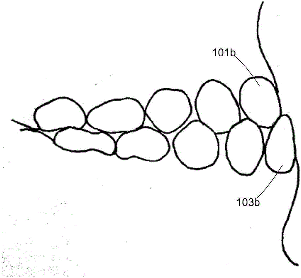 Shell-shaped dental instrument for correcting occlusal interference