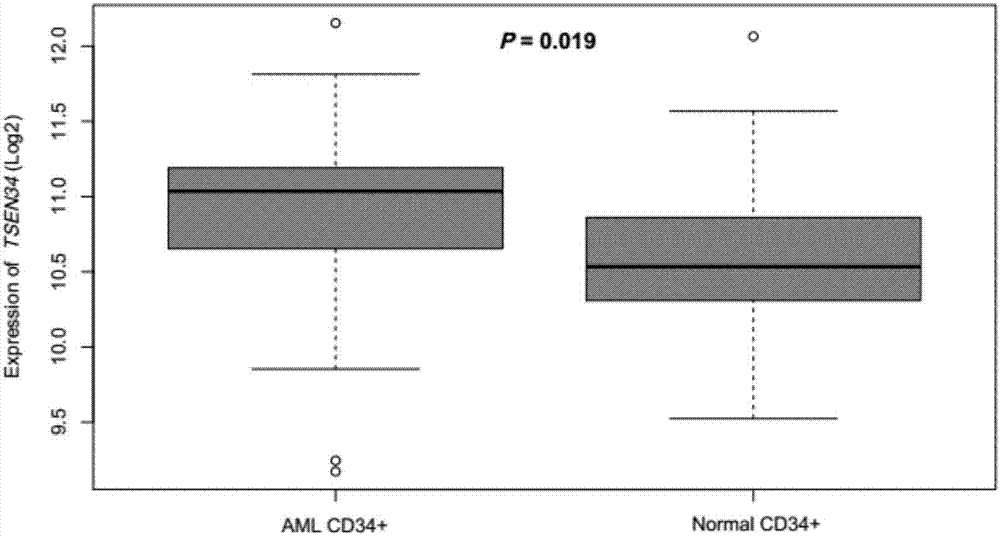 Detection kit for precision diagnosis and treatment of acute myelogenous leukemia and TSEN34 clinic application