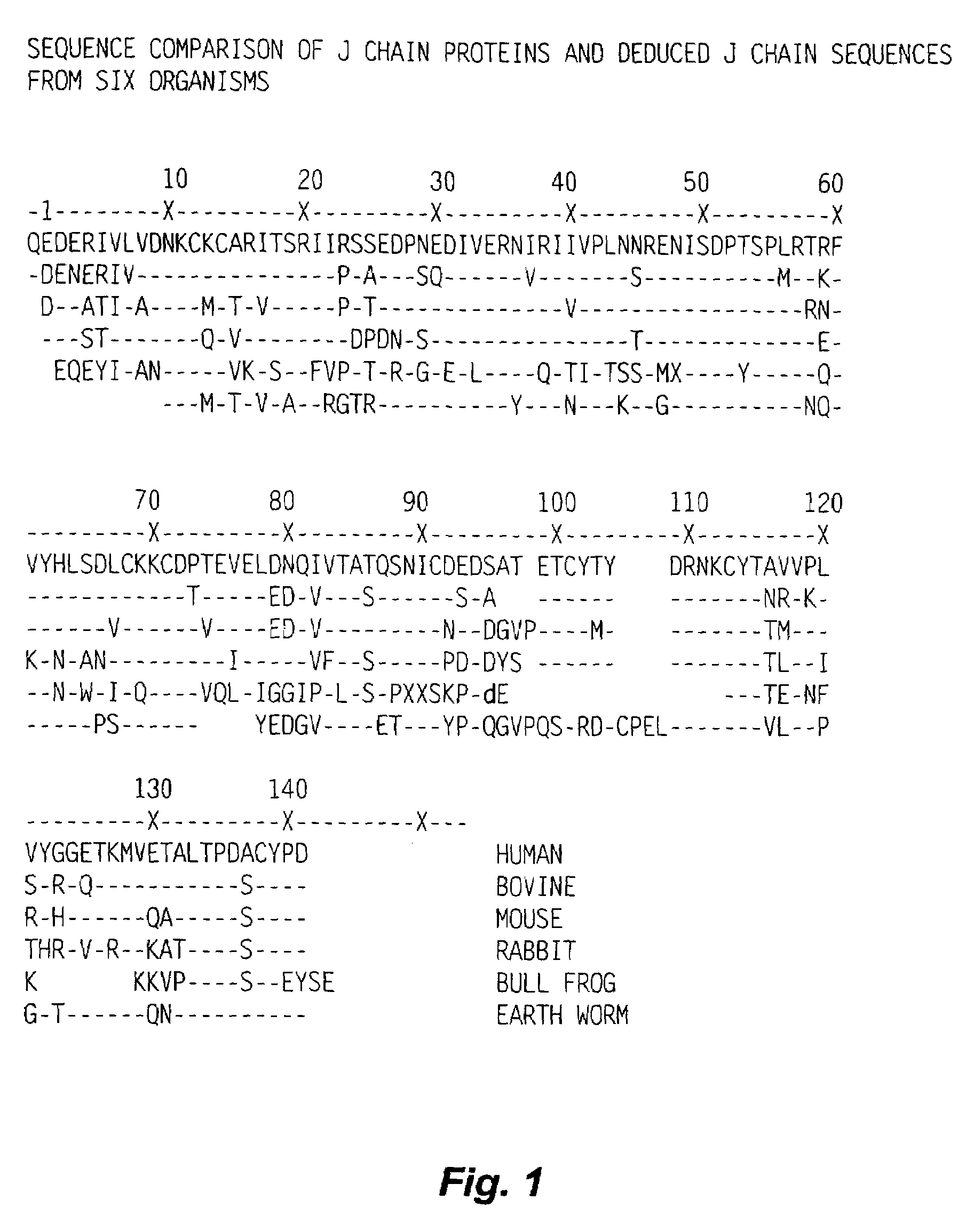 Epithelial tissue targeting agent