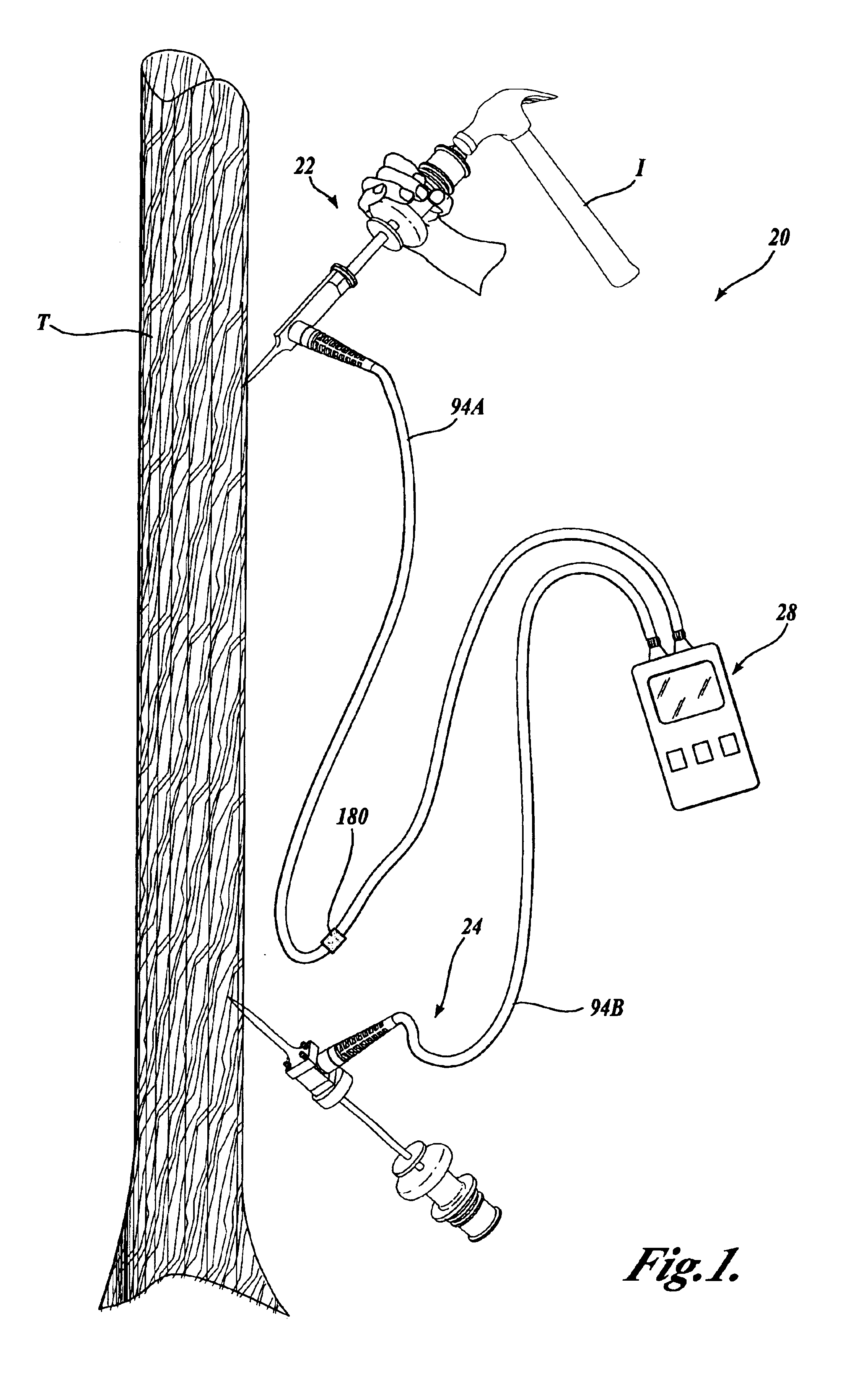 System and method for measuring stiffness in standing trees