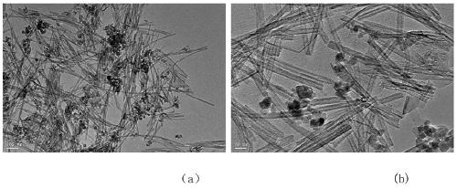 Defect type TNTs composite material capable of achieving magnetic separation and preparation method thereof