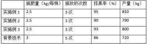 Organic fertilizer for planting actinidia chinensis and preparation method of organic fertilizer