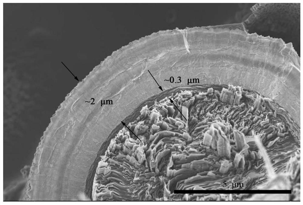 Short carbon fiber reinforced Csf/SiC ceramic matrix composite material and preparation method thereof