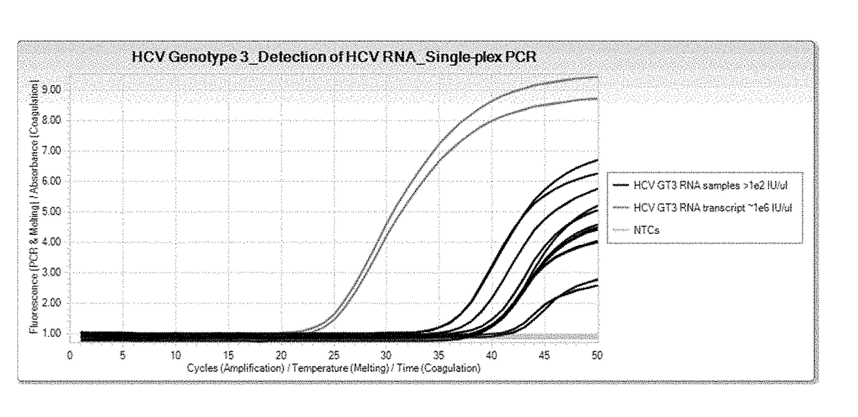 Compositions and methods for detection of hepatitis c virus genotype 3