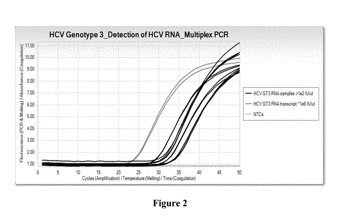 Compositions and methods for detection of hepatitis c virus genotype 3