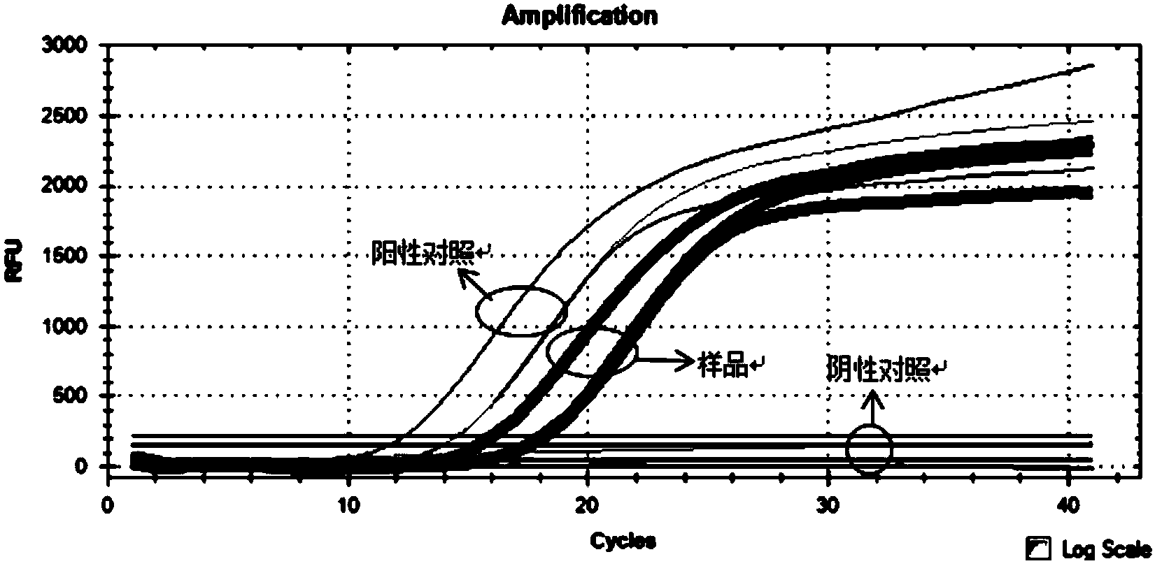 Primers, probes and detection kit for detecting human HCC (Hepatocellular Carcinoma) marker