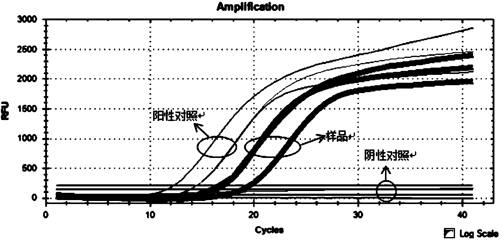 Primers, probes and detection kit for detecting human HCC (Hepatocellular Carcinoma) marker