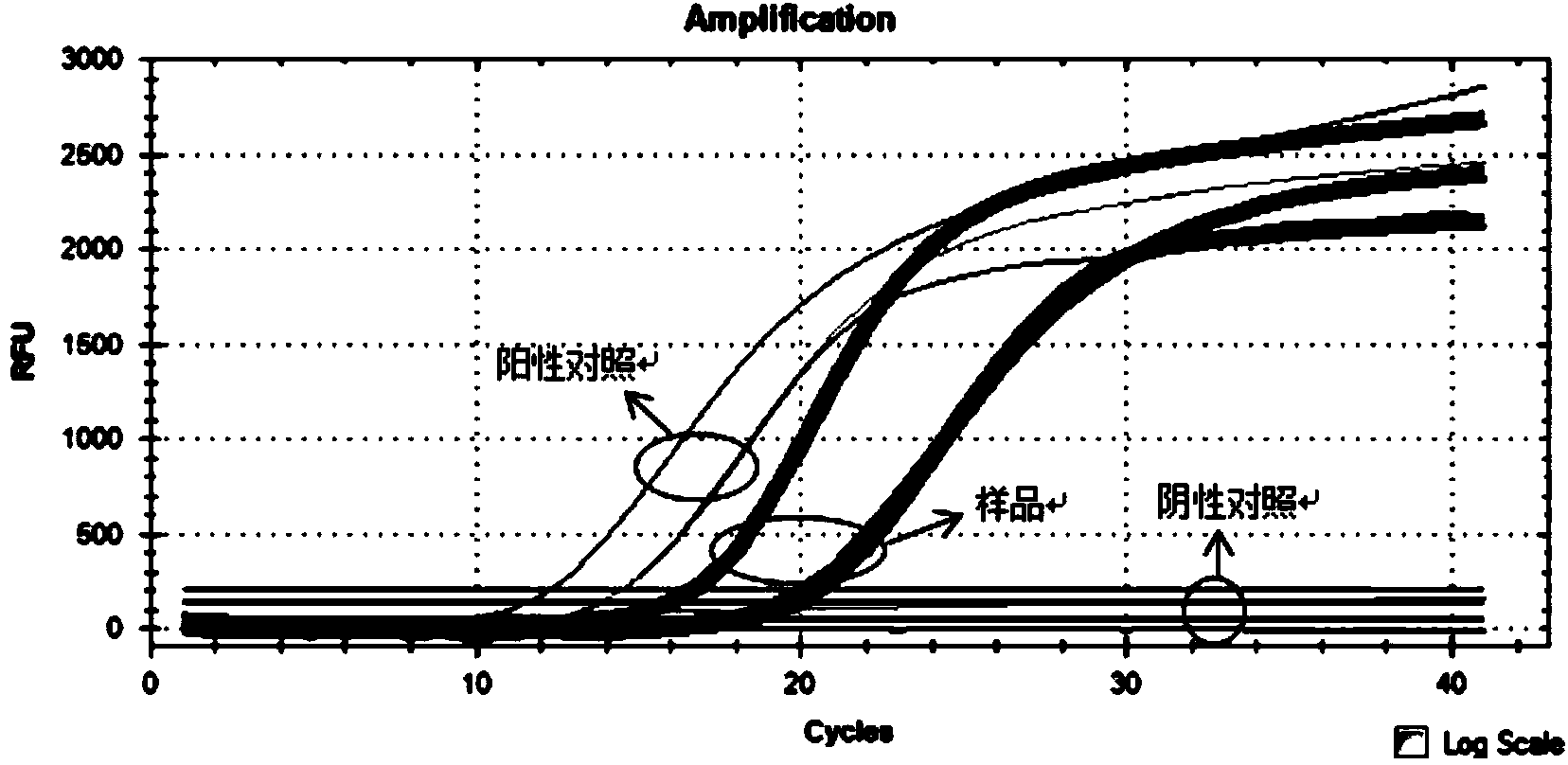 Primers, probes and detection kit for detecting human HCC (Hepatocellular Carcinoma) marker