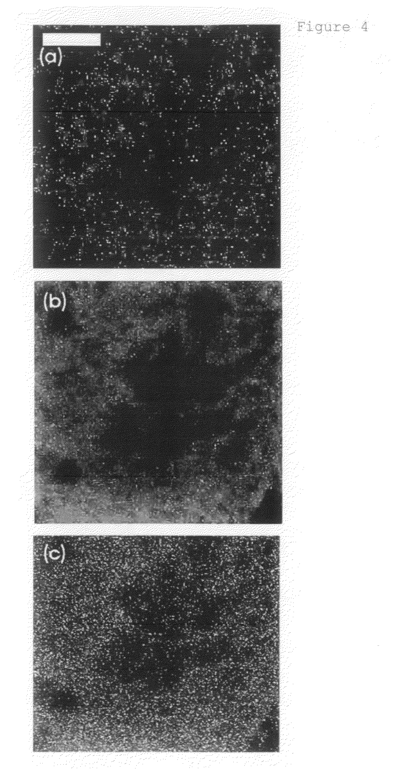 Evaluation method of organic or bio-conjugation on nanoparticles using imaging of time-of-flight secondary ion mass spectrometry