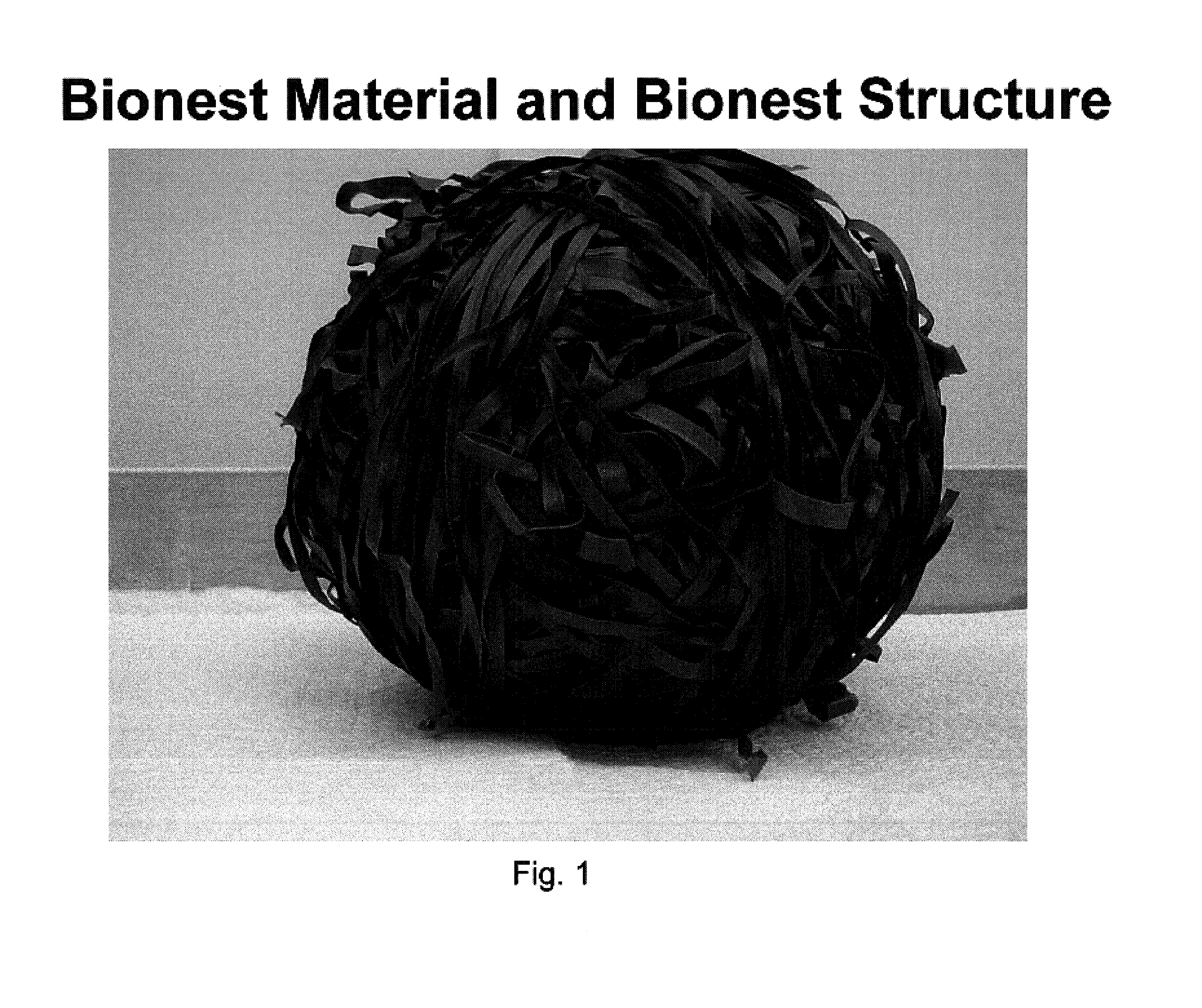 Bionest reactor for the application of anaerobic wastewater treatment and bioenergy recovery