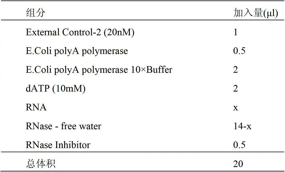 Quantitative detection method for micro RNA (Ribose Nucleic Acid)