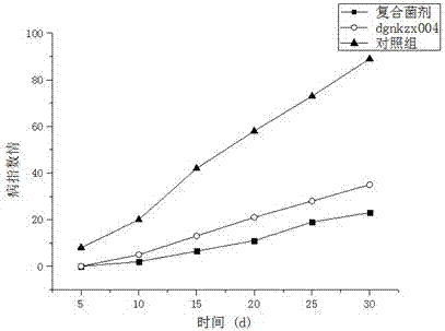 Application of Paenibacillus polymyxa dgnkzx004 in the cultivation of lipstick flower