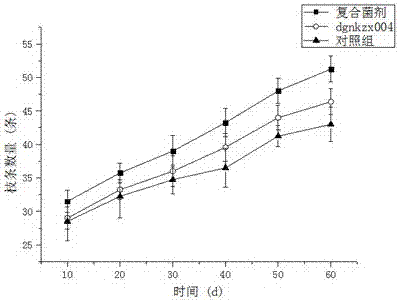 Application of Paenibacillus polymyxa dgnkzx004 in the cultivation of lipstick flower