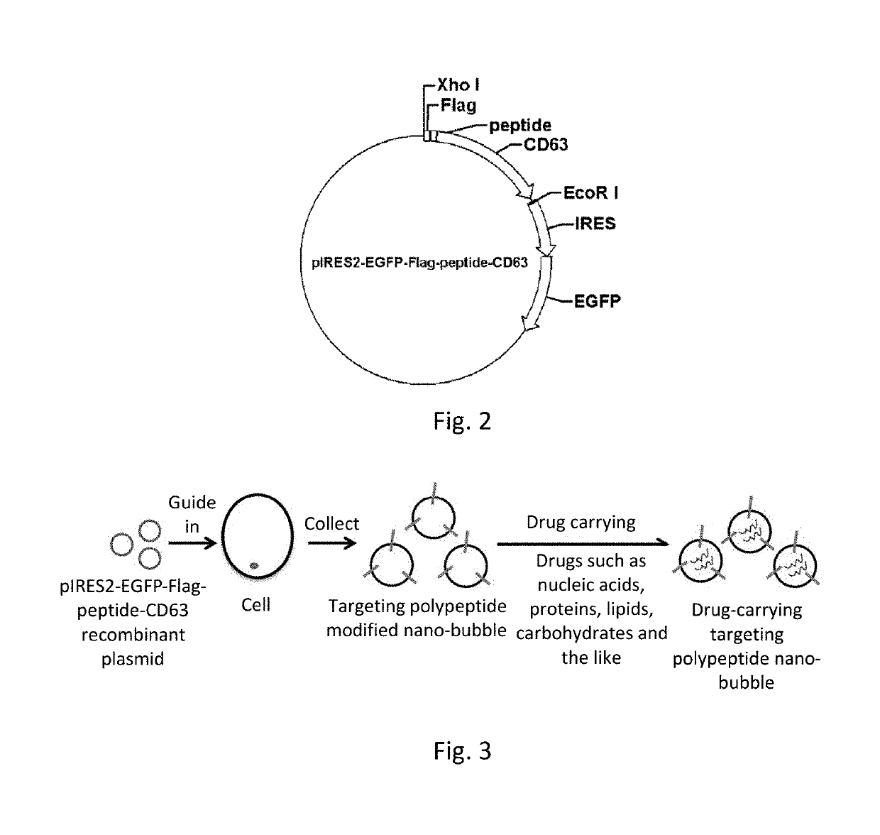 Polypeptide nano-bubbles and preparation method and application thereof