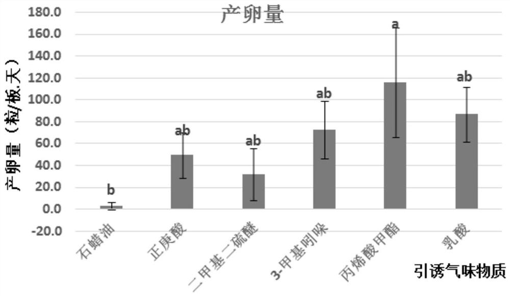 A composition for inducing concentrated oviposition of black soldier flies and its application method