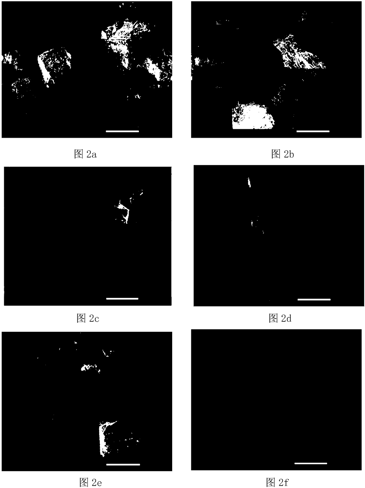 Method for preparing calcium carbonate by simultaneous mineralization of two microorganisms