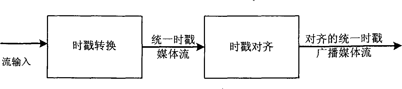 Apparatus, system and method for synchronously playing video data and audio data