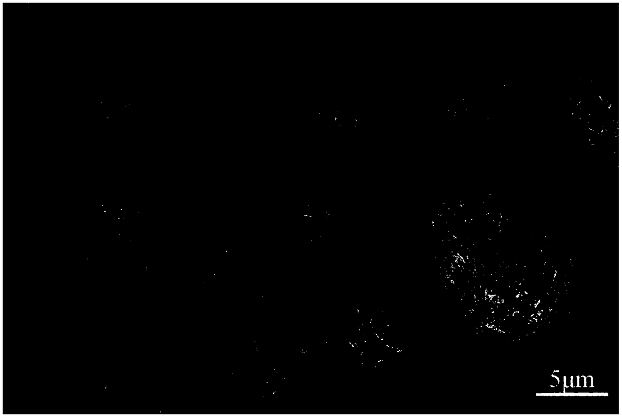 Low-cobalt doped spinel-layered structure lithium nickel manganate two-phase composite cathode material preparation method