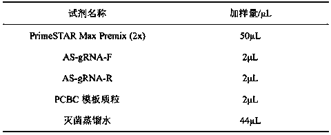 Construction method of homologous repair vector based on CRISPR/Cas9 system