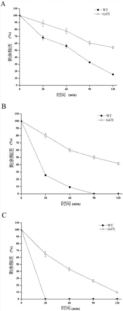 Novel lipase as well as gene, engineering bacteria and preparation method thereof