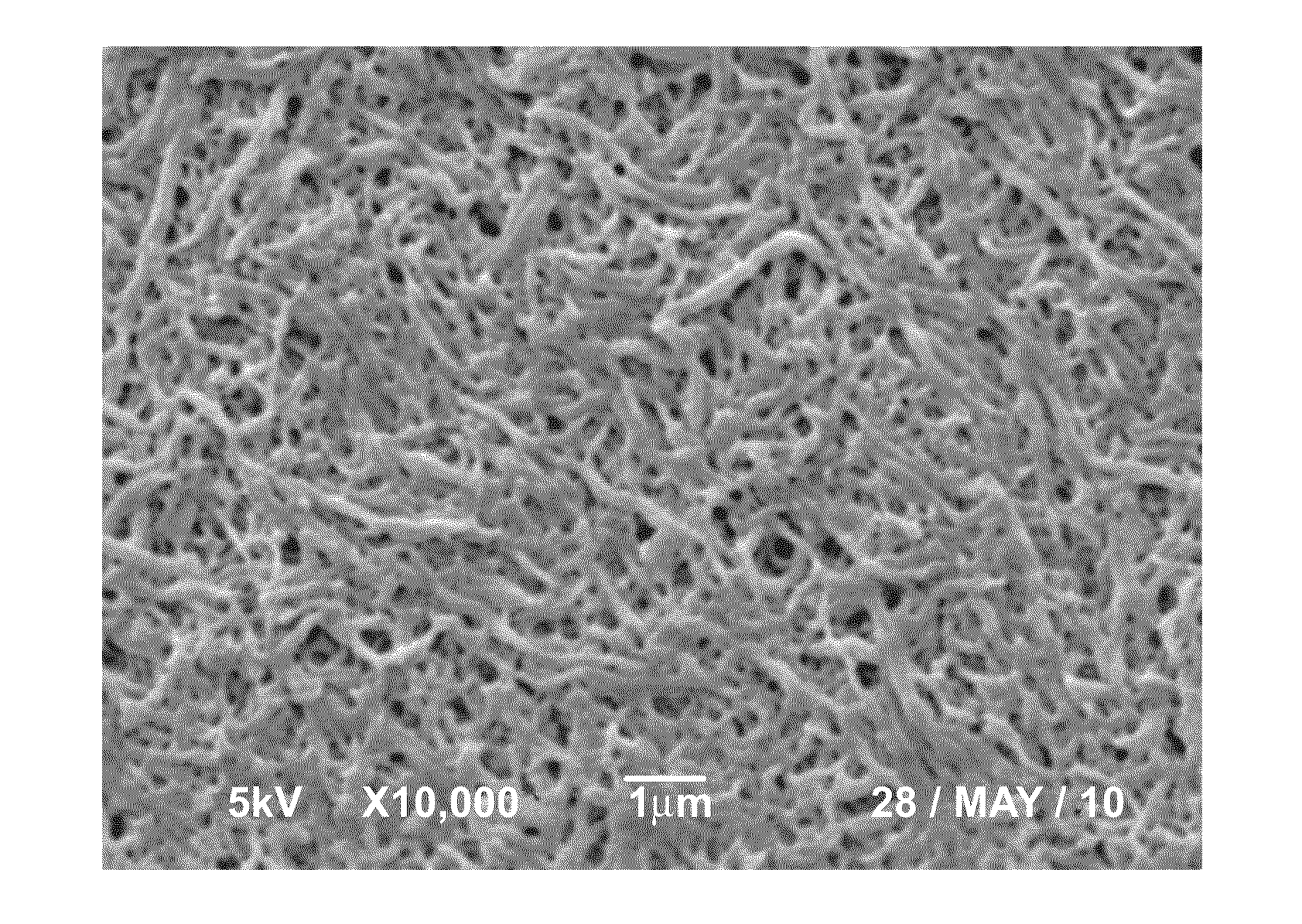 Bioabsorbable polymeric compositions, processing methods, and medical devices therefrom